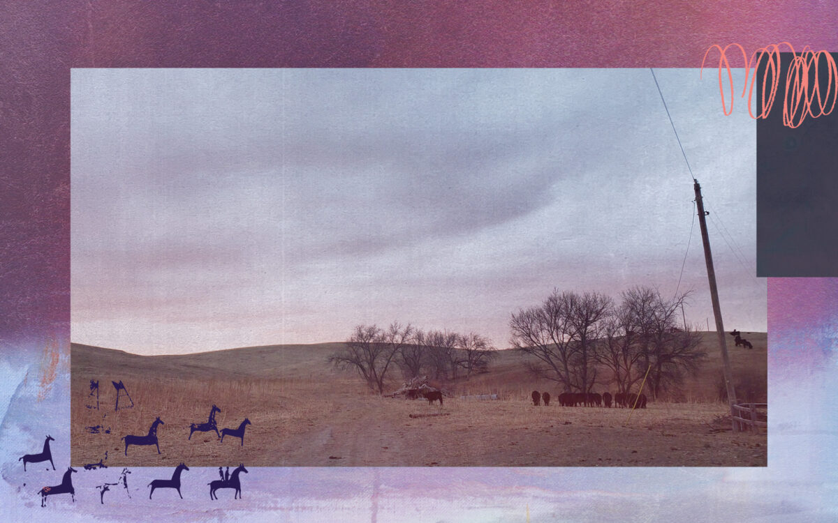 What Led to Health Disparities for Native Americans on the Pine Ridge